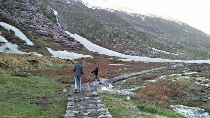Trekkers crossing a stream in Darma Valley among blooming rhododendrons and snow patches